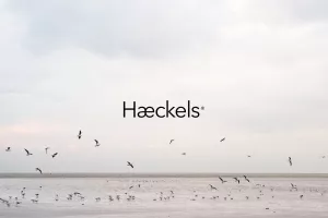 Blue beauty: &#39;Plavi&#39; kozmetički brendovi posebnu brigu vode o zaštiti mora i oceana