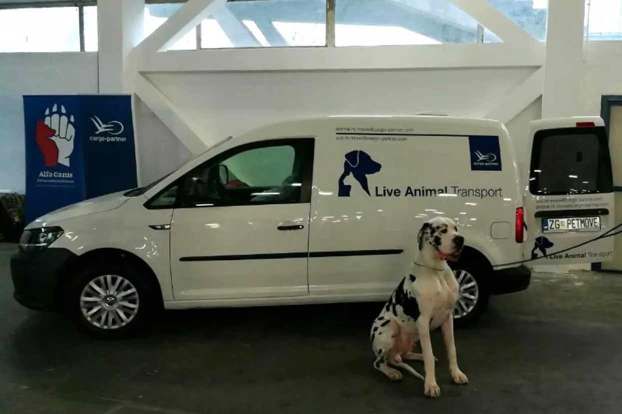 Sve traženija usluga prijevoza kućnih ljubimaca i životinja