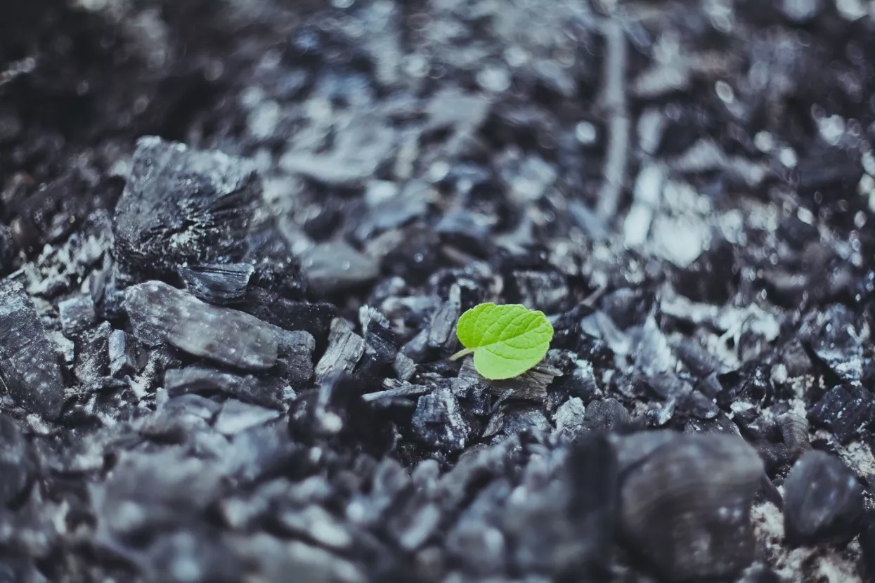 Sad ni ugljen više neće biti prljav