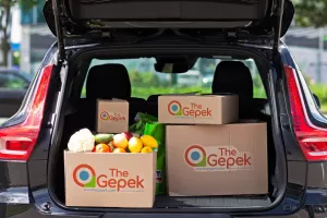 TheGepek dobio grant od Near Foundationa za implementaciju blockchain tehnologije