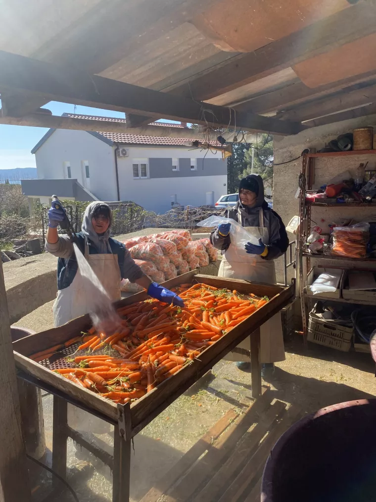 Mladi dalmatinski poljoprivrednik Ivan Majica planira ulagati u mehanizaciju jer je radna snaga &#39;skupa, a neučinkovita&#39;