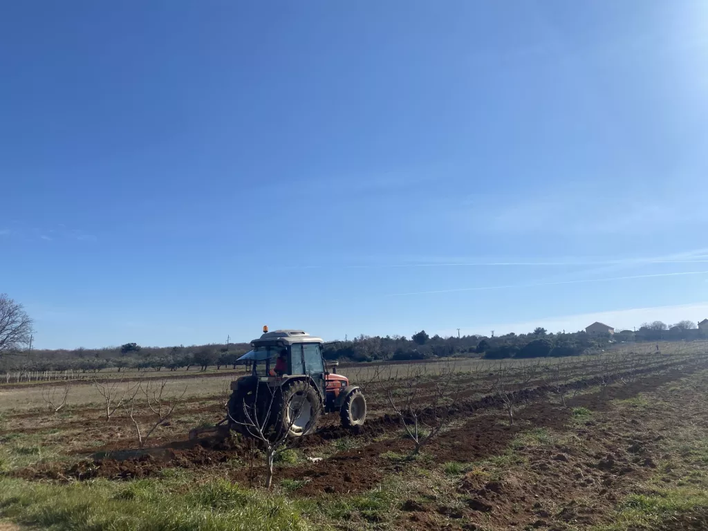 Mladi dalmatinski poljoprivrednik Ivan Majica planira ulagati u mehanizaciju jer je radna snaga &#39;skupa, a neučinkovita&#39;