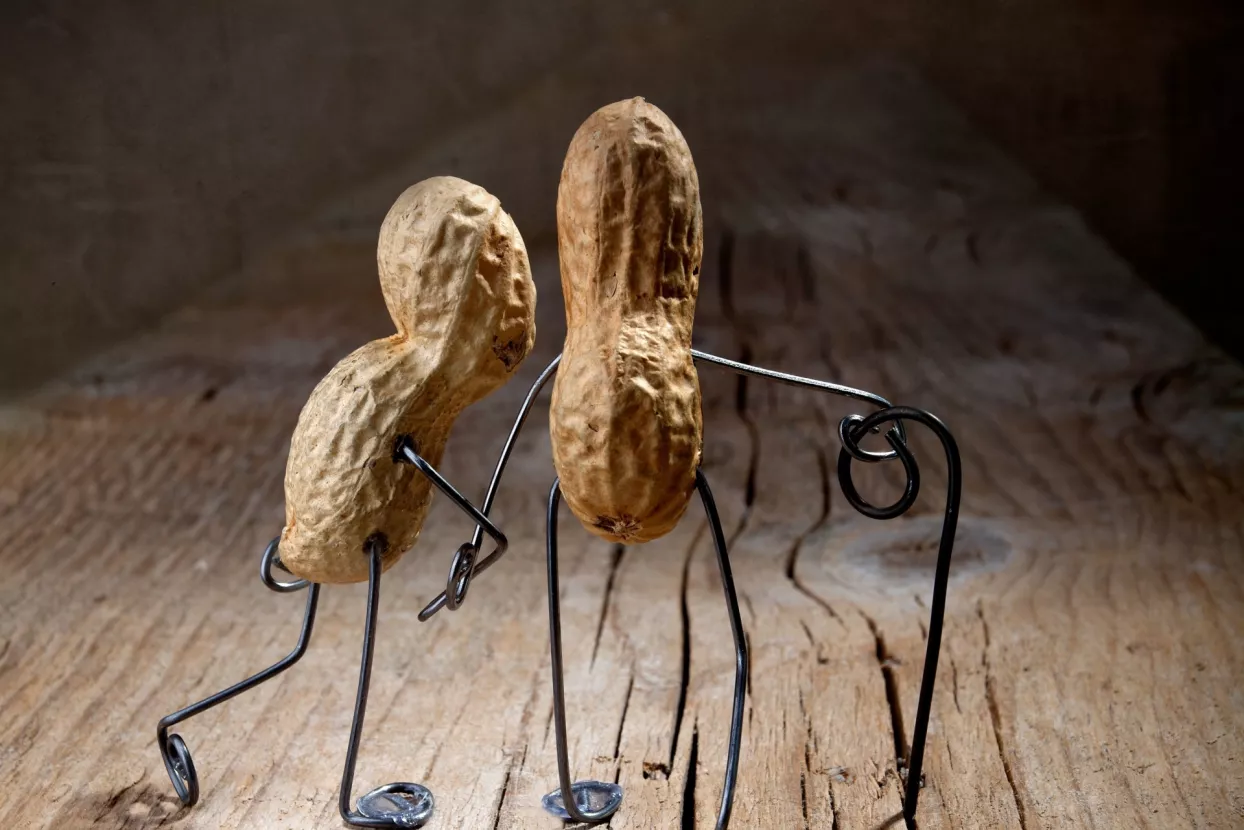 Novo Liderovo istraživanje: koji su najagilniji brendovi?