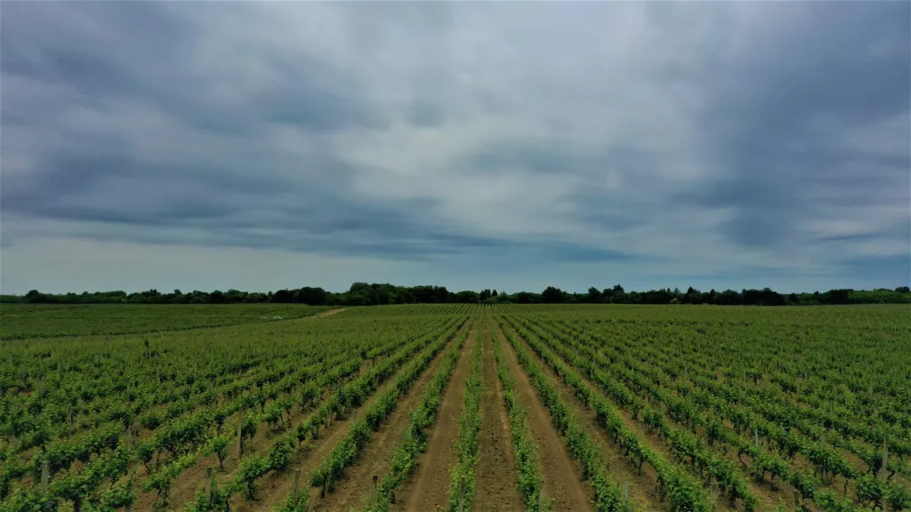 [Poslovna scena] Vupiku plus rastu prinosi, ali rat u Ukrajini smanjuje promet Dunavom