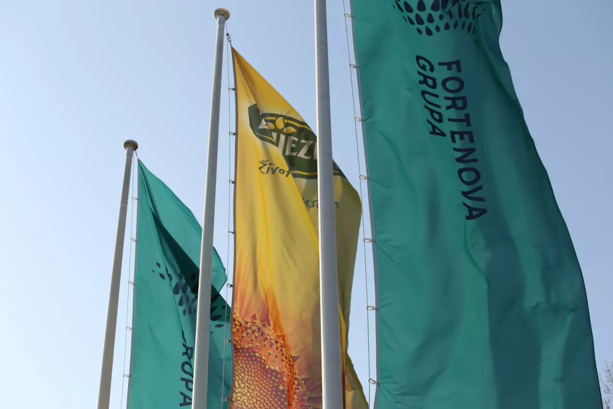 Volk napustio Upravni odbor Fortenove, Vujnovac predložen za novog člana