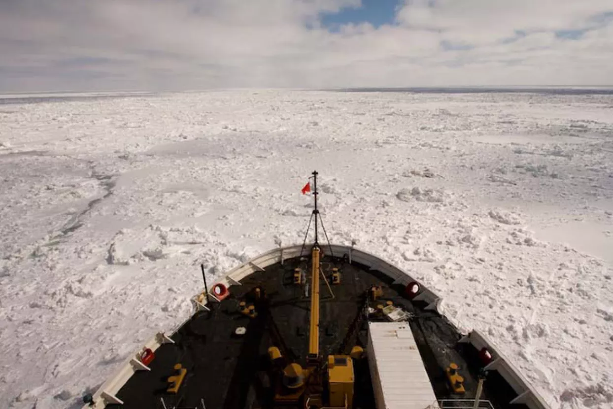 Otpad iz Sueskoga kanala pretvara se u zeleni vodik