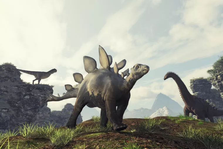 Marketinšku apokalipsu preživjet će priče s karakterom