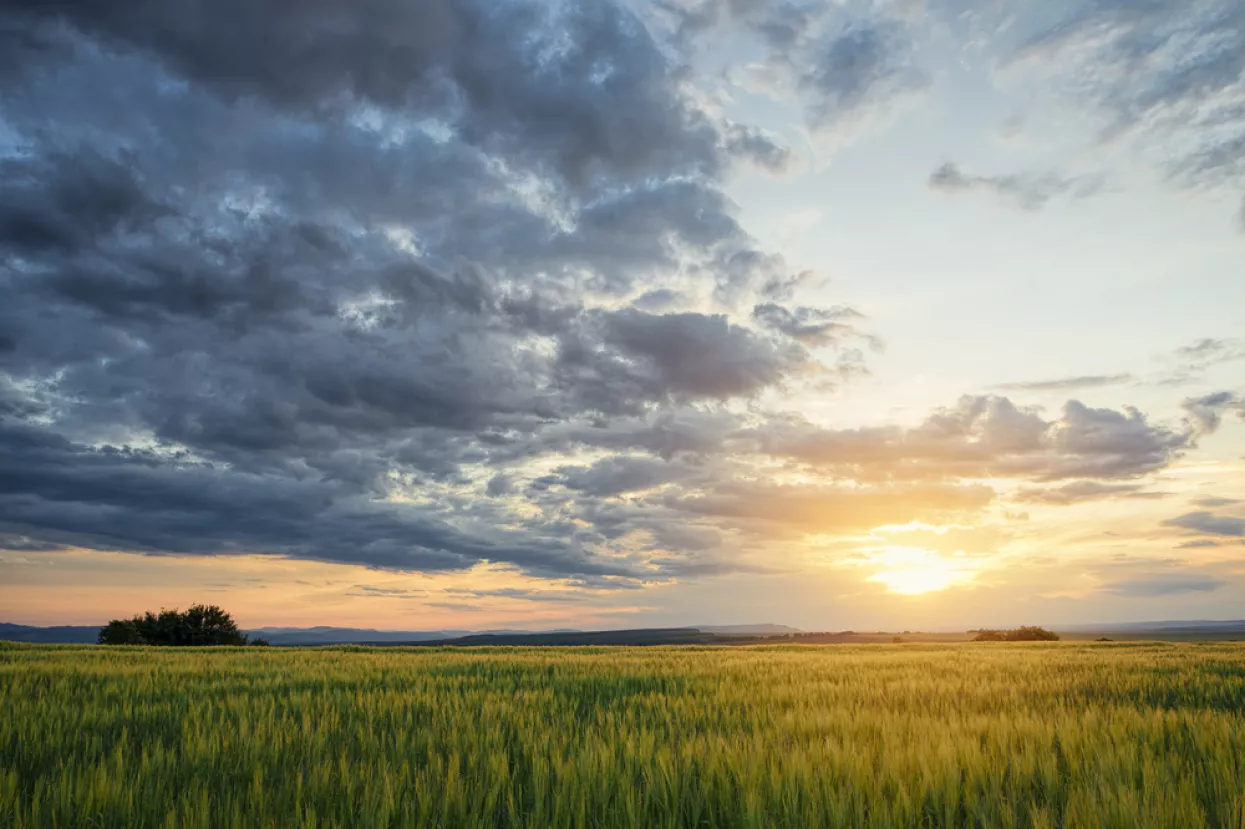 Danas je vedro, znači sutra neće biti oluja? To je argument protiv recesije?