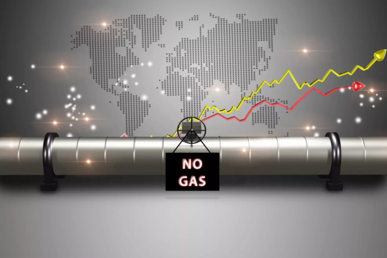 Potpuni prekid isporuke ruskog plina uništio bi europski BDP