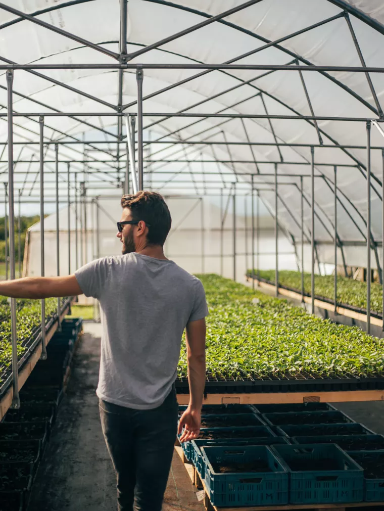 David Pejić, direktor Zrno Bio Bistroa, nominiran za najboljeg ekološkog poljoprivrednika u EU