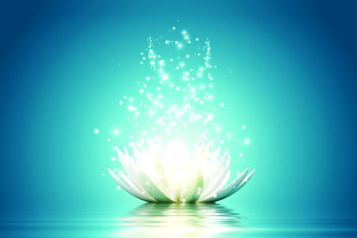 Između Istoka i Zapada: Indija grabi svoj dio kolača u gospodarstvu, ali i u geopolitici