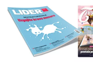 U novom broju Lidera saznajte kako pametno restrukturirati kompaniju