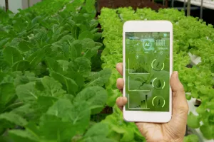 Korisne aplikacije: provjerite kvalitetu hrane ili kozmetičkih proizvoda i ne zaboravite na lijekove