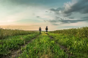 Koliko su Hrvati upoznati s agrifood startup scenom?