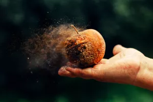 Bolje trula demokracija nego 'prosvijećeni' apsolutizam