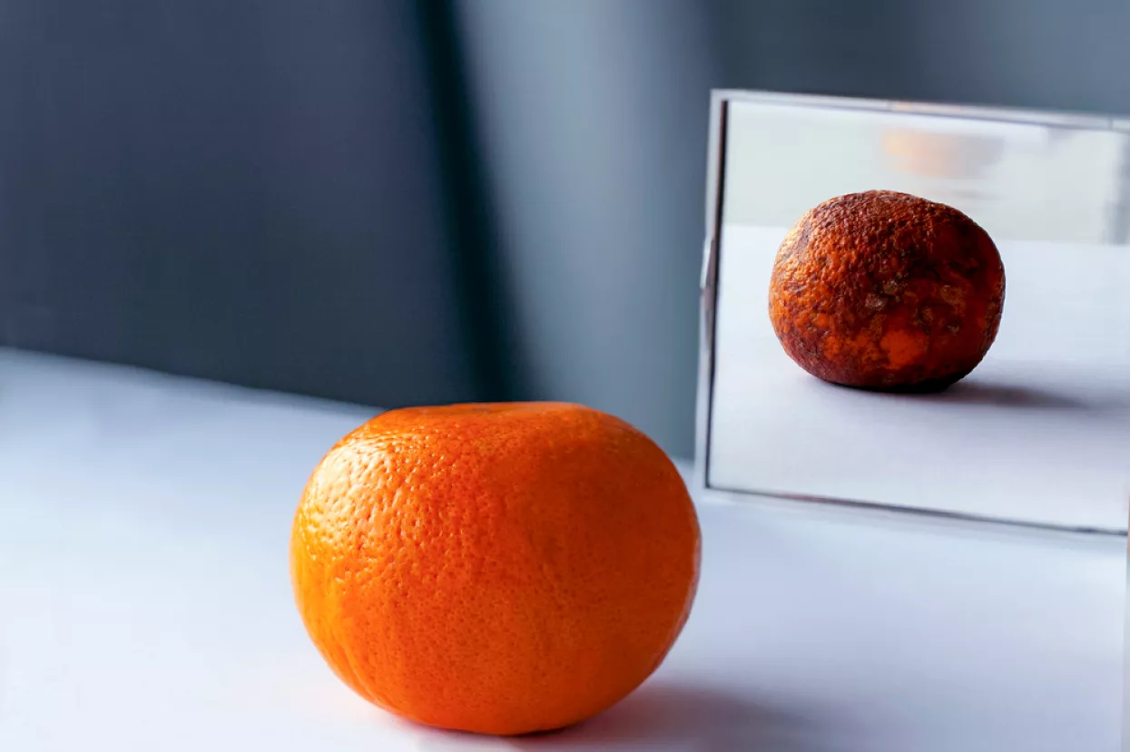 А fresh orange on the table is reflected in the mirror as rotten фтв spoiled fruit. Conceptual photo about young and old age, inner beauty, loneliness, lies.<br>trulo voće, truljenje, naranča, ogledalo