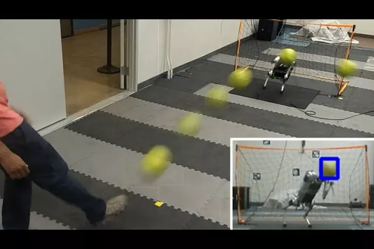 robot golman mini cheetah