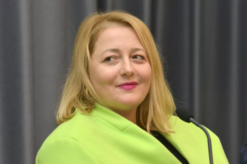 17. konferencija o nabavi, Gjana Bekić