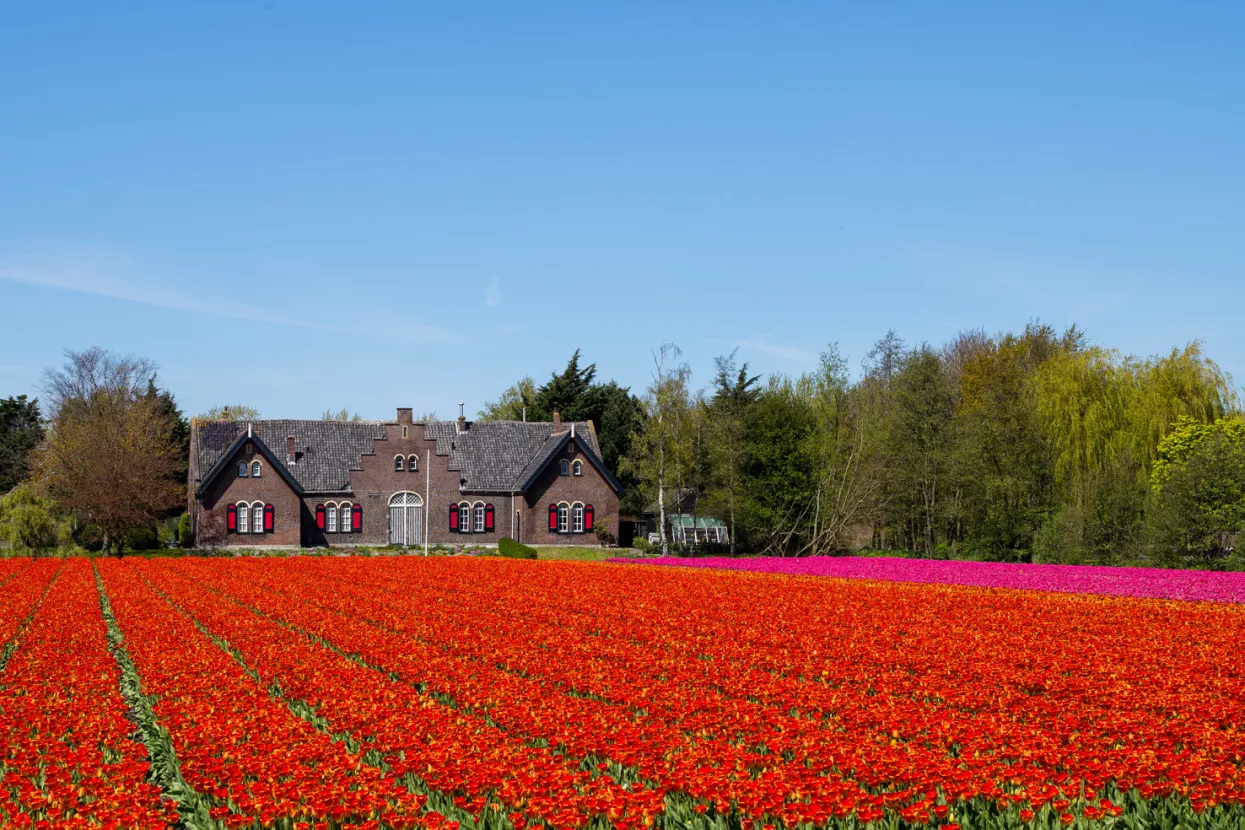 Nije više loše genetičko modificiranje, ali bolje je genetičko uređivanje