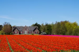 Nije više loše genetičko modificiranje, ali bolje je genetičko uređivanje