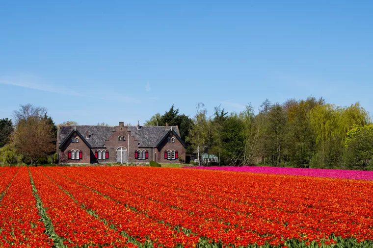 Nije više loše genetičko modificiranje, ali bolje je genetičko uređivanje