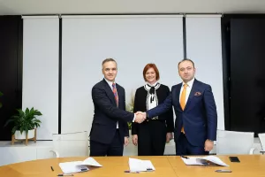 YILDIRIM grupacija i Petrokemija