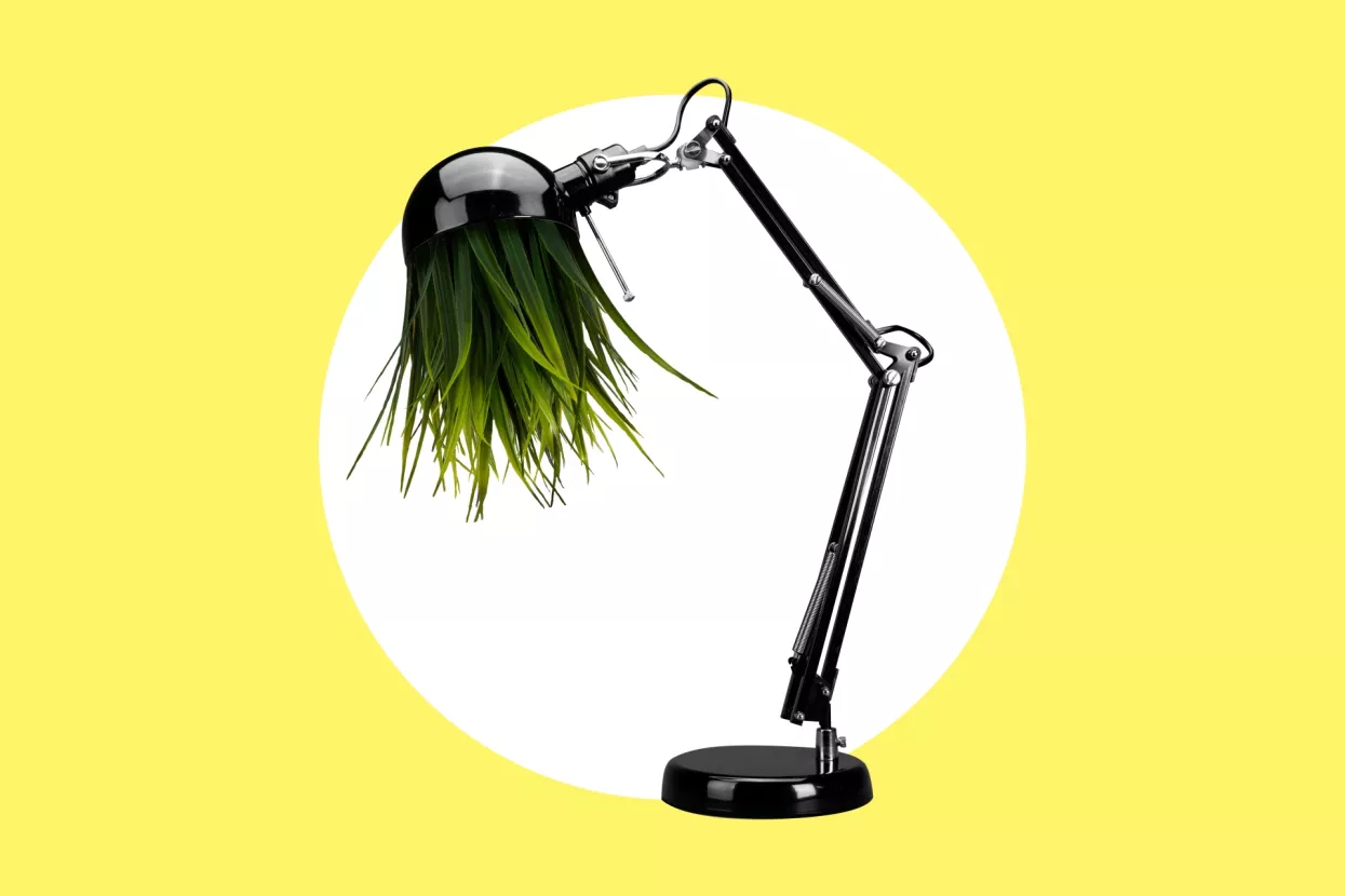 Vruće lokalne mjere za energetsku obnovu