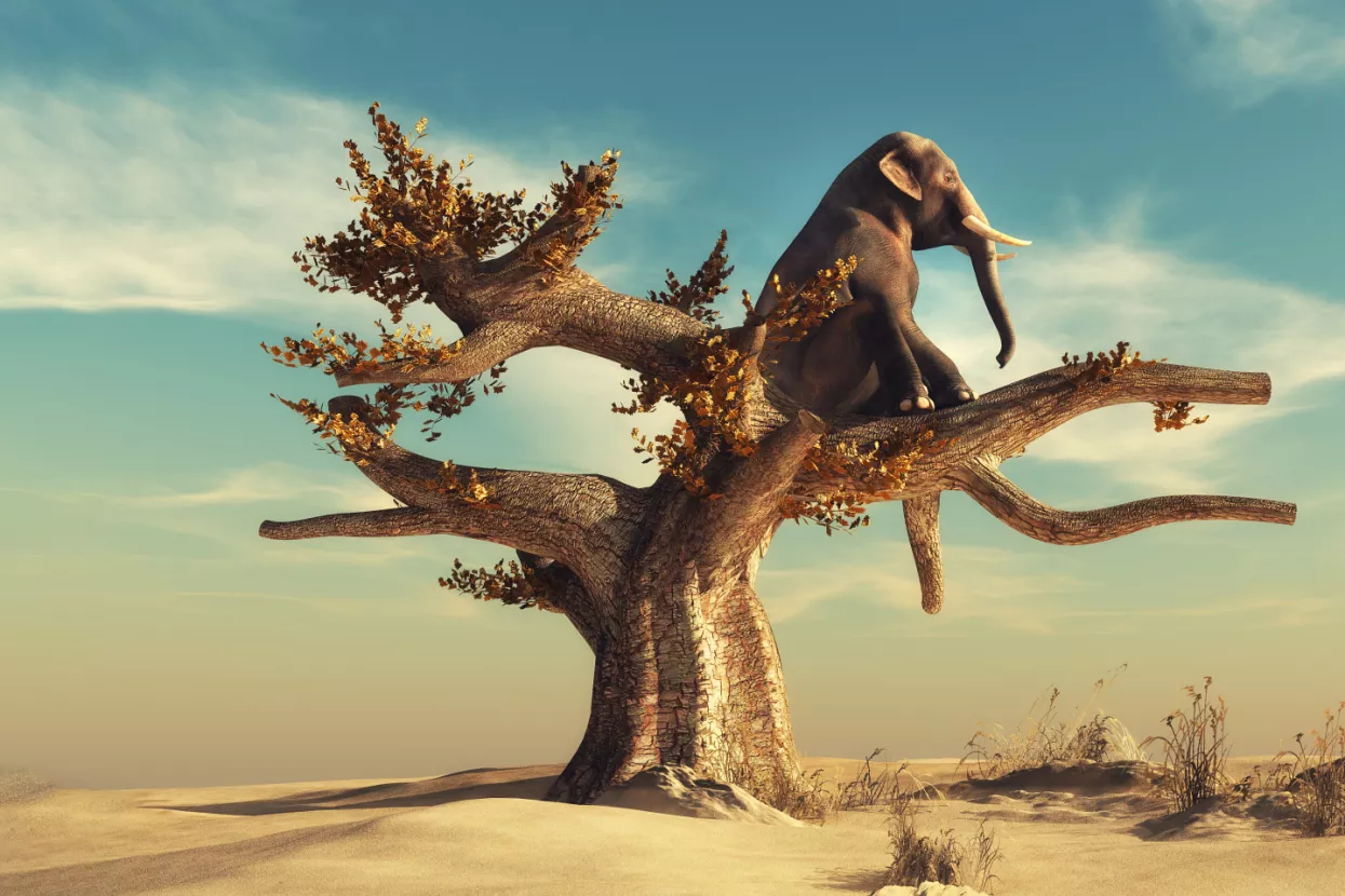 Od kompanije se očekuje odgovornost, ali ima li je tko provoditi?