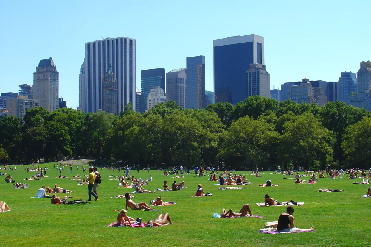 Naizgled hvalevrijedne općinske strategije obnove degradiranih urbanih okoliša i postavljanja zelene infrastrukture prilagođene klimatskim promjenama poboljšavaju privlačnost područja no imaju i svoje naličje. Tako mogu nastati i tzv. ometajući krajolici 