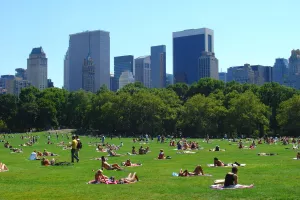 Naizgled hvalevrijedne općinske strategije obnove degradiranih urbanih okoliša i postavljanja zelene infrastrukture prilagođene klimatskim promjenama poboljšavaju privlačnost područja no imaju i svoje naličje. Tako mogu nastati i tzv. ometajući krajolici 