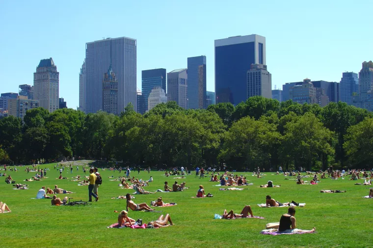 Naizgled hvalevrijedne općinske strategije obnove degradiranih urbanih okoliša i postavljanja zelene infrastrukture prilagođene klimatskim promjenama poboljšavaju privlačnost područja no imaju i svoje naličje. Tako mogu nastati i tzv. ometajući krajolici 
