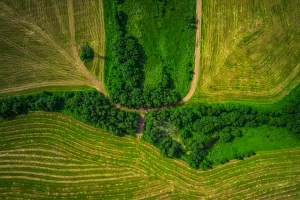 poljoprivredno zemljište