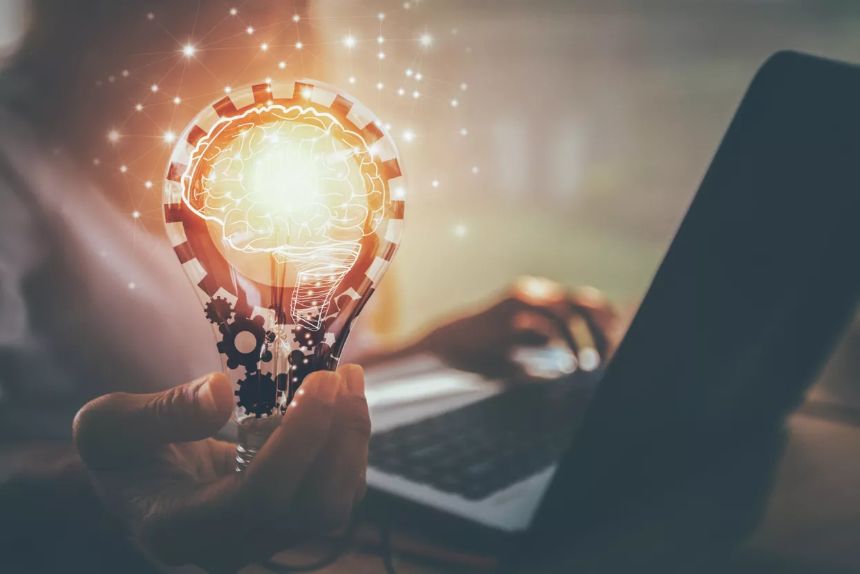 intelektualno vlasništvo 