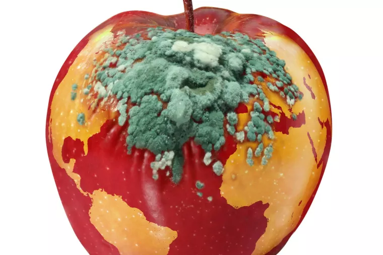 Politički klijentelizam, korupcija, politika