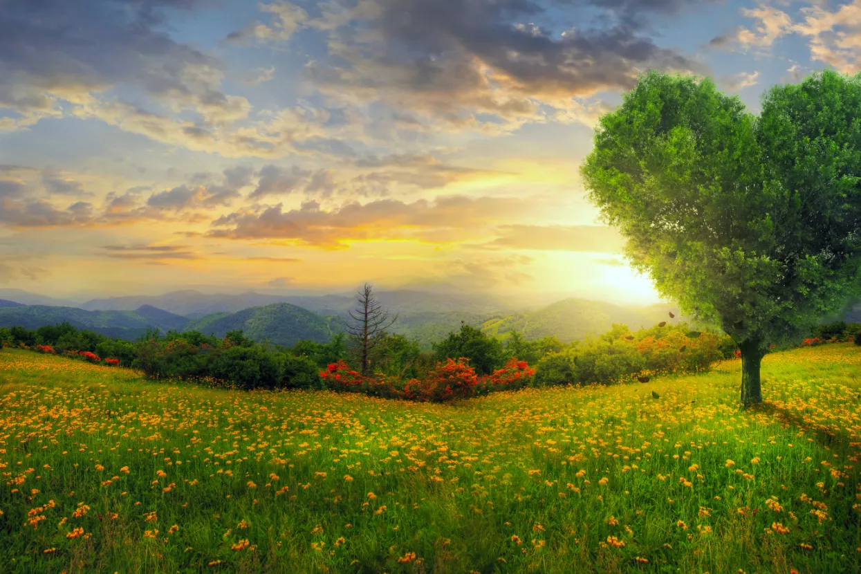 Tehnopolis 893 - Bujna celularna poljoprivreda