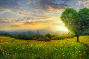 Tehnopolis 893 - Bujna celularna poljoprivreda