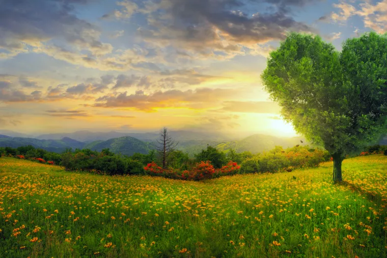 Tehnopolis 893 - Bujna celularna poljoprivreda