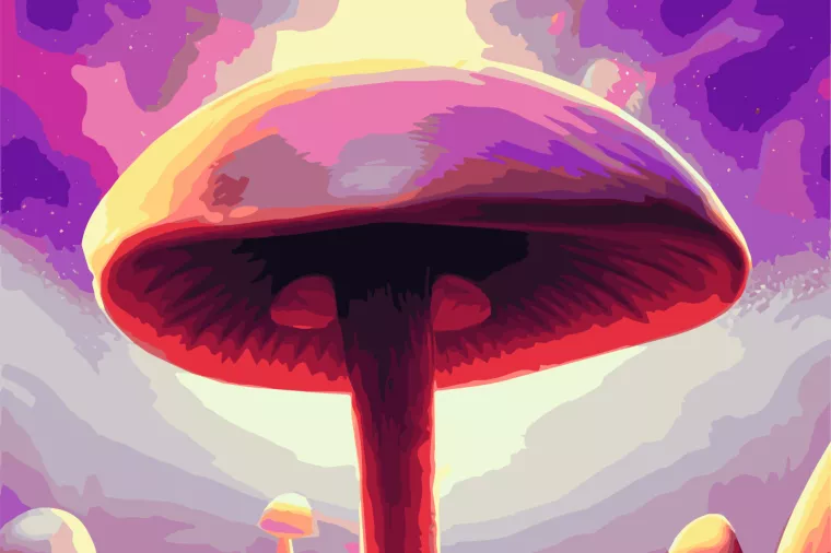 magic mashrooms, gljive, lude gljive