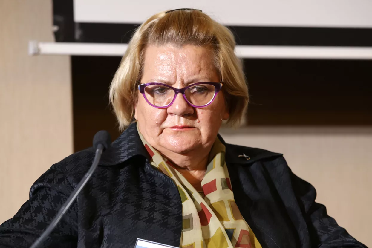 Hrvatska: na putu za euro. Panel 2, Ana Knežević