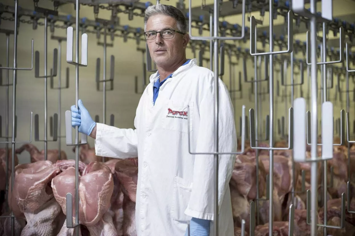 Milivoj Dragošević, Purex