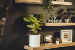 Choncha, pametna posuda za cvijeće koju su izradili studenti FOI-ja