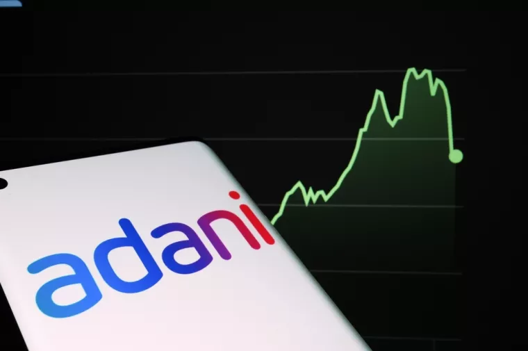 Adani Grupa pad