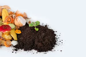 Pametno gospodarenje otpadom: Zelena rješenja za efikasnije poslovanje