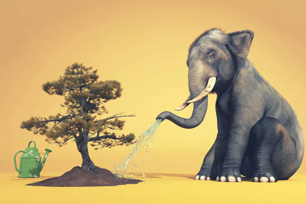 Hrvatska Burza otpada: Devet domaćih tvrtki trguje s 15-ak vrsta otpada, stranih tvrtki još nema