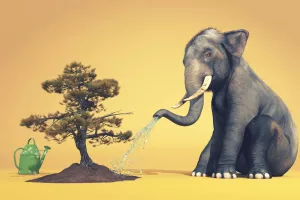 Hrvatska Burza otpada: Devet domaćih tvrtki trguje s 15-ak vrsta otpada, stranih tvrtki još nema