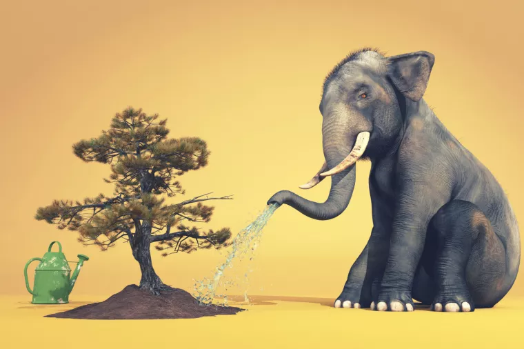 Hrvatska Burza otpada: Devet domaćih tvrtki trguje s 15-ak vrsta otpada, stranih tvrtki još nema