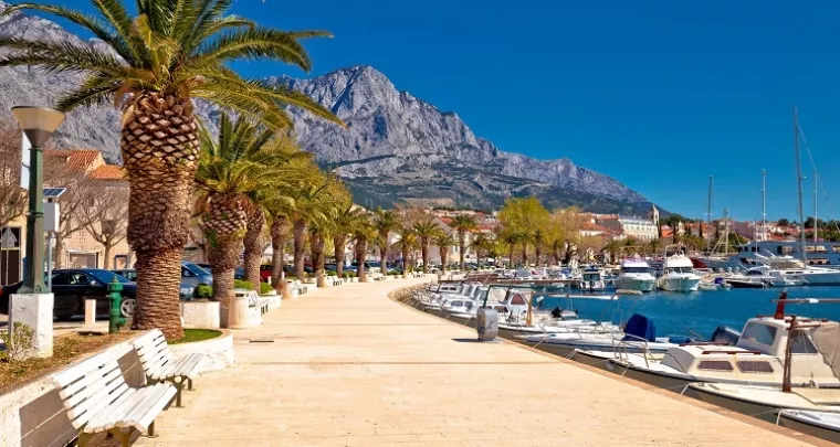 Smart cities: Hoće li centar Makarske uskoro biti ispunjen stablima?