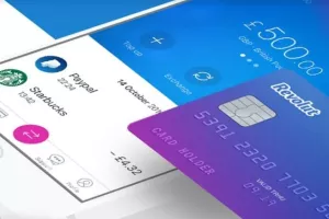 Većina fintech startupova igra na određeni 'Robin Hood' karakter u odnosu na tradicionalne banke. Temelje se na ponudi bankarskih usluga po puno nižim naknadama ili bez njih zbog čega su popularni među mlađim generacijama, posebice milenijcima. Revolut će biti i prva europska kompanija koja omogućuje ulagačima kupovanje dijelova dionica 