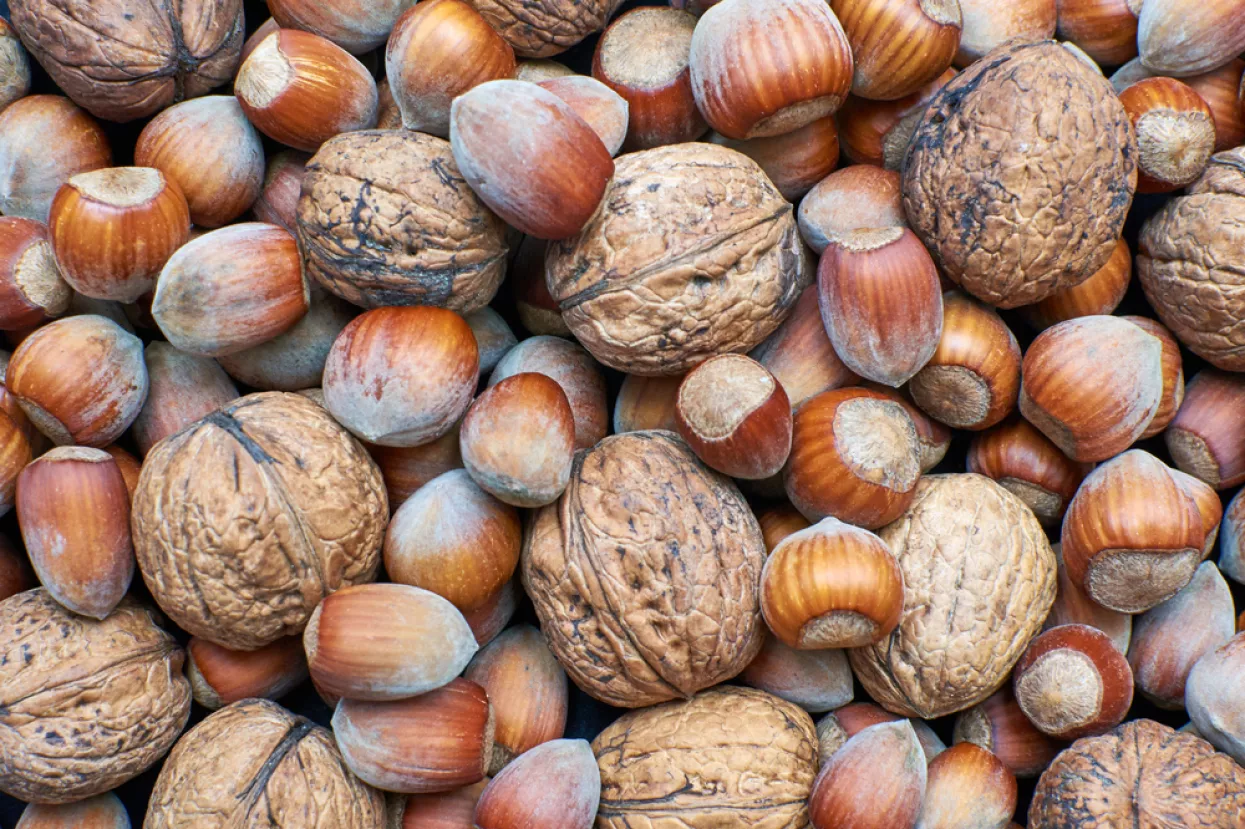 orasi, lješnjaci, orah, lješnjak, orašasti plodovi