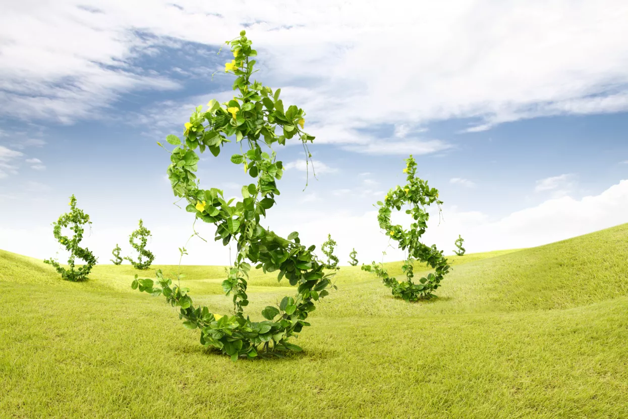 zelena ulaganja, subvencije, ulaganja, ira